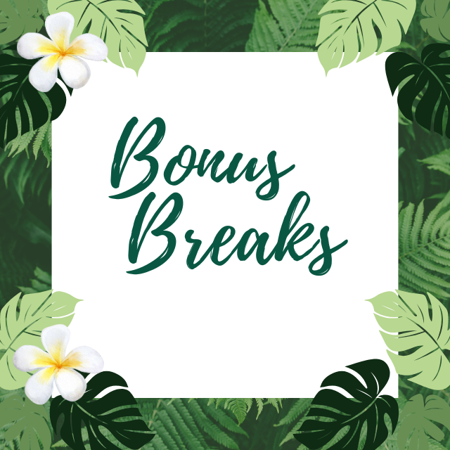 Bonus Breaks